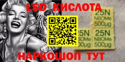 шишки Сланцы