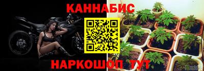 индика Старая Купавна
