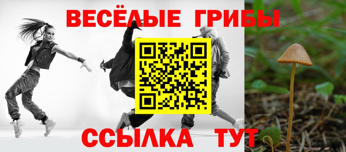 Псилоцибиновые грибы Psilocybe  Вход с VPN  Галлюциногенные грибы прущие грибы  Белореченск 